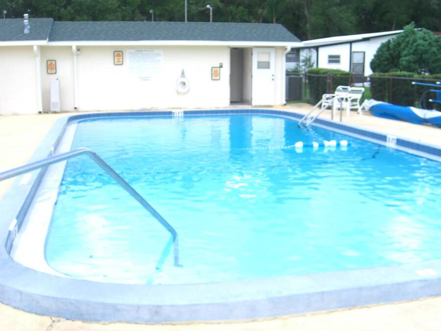 Palm Tree Acres 36006 State Road 54 West, Zephyrhills, FL 33541