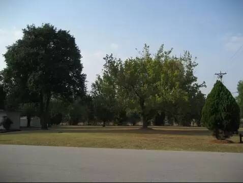 community home thumb