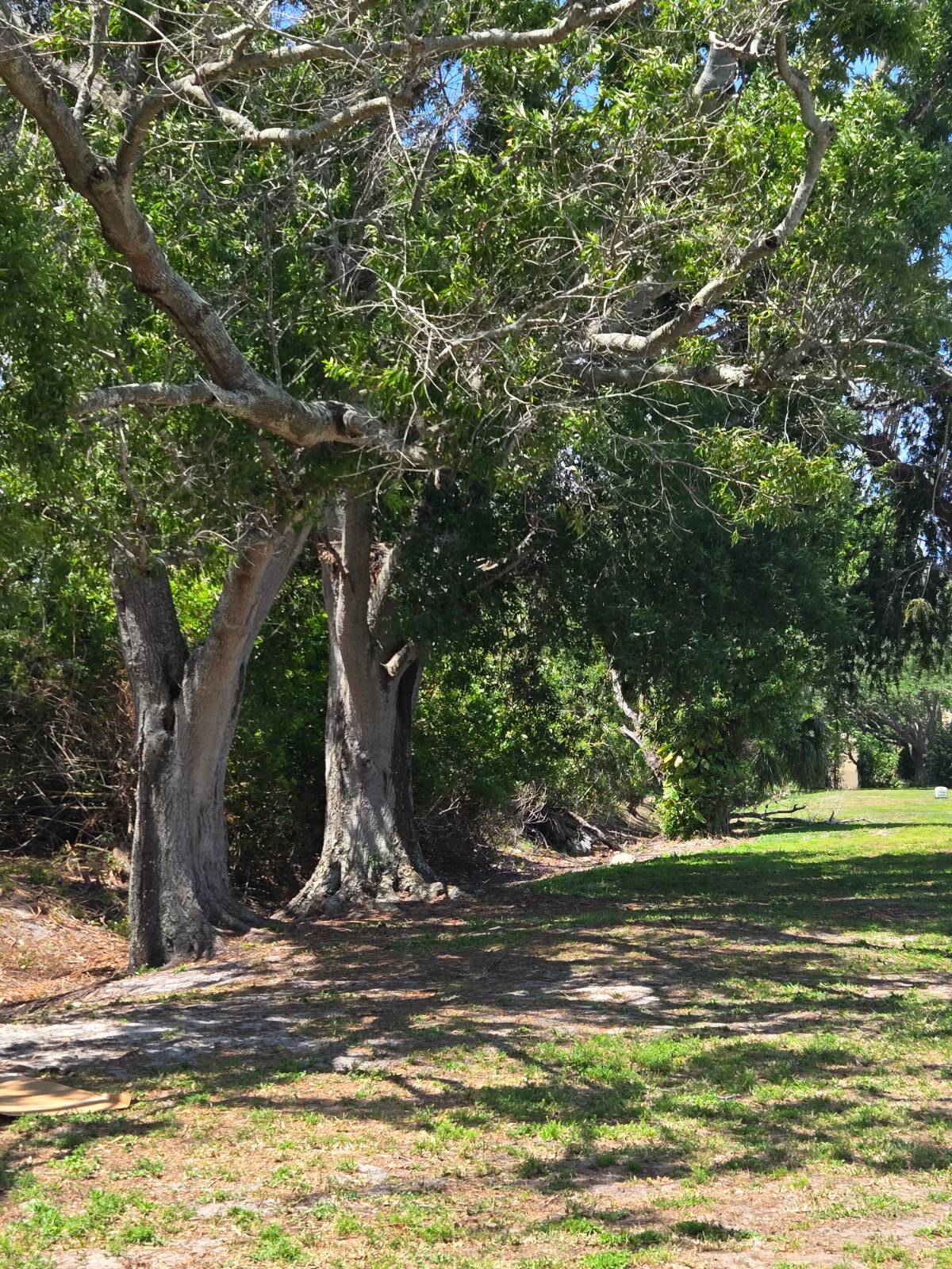 St. Petersburg, FL