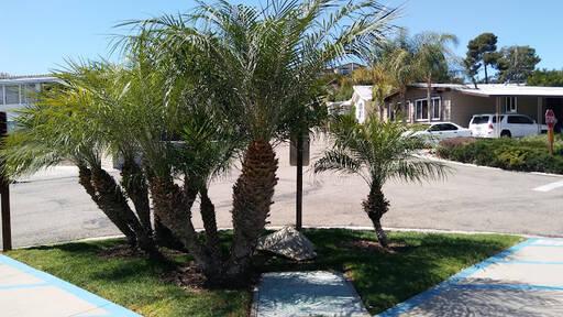 community home thumb