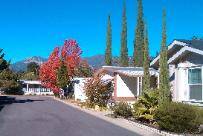 community home thumb