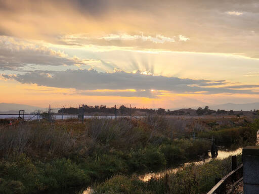 community home thumb