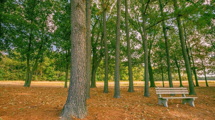 Hyde Park 9618 Cordova Road, Easton, MD 21601