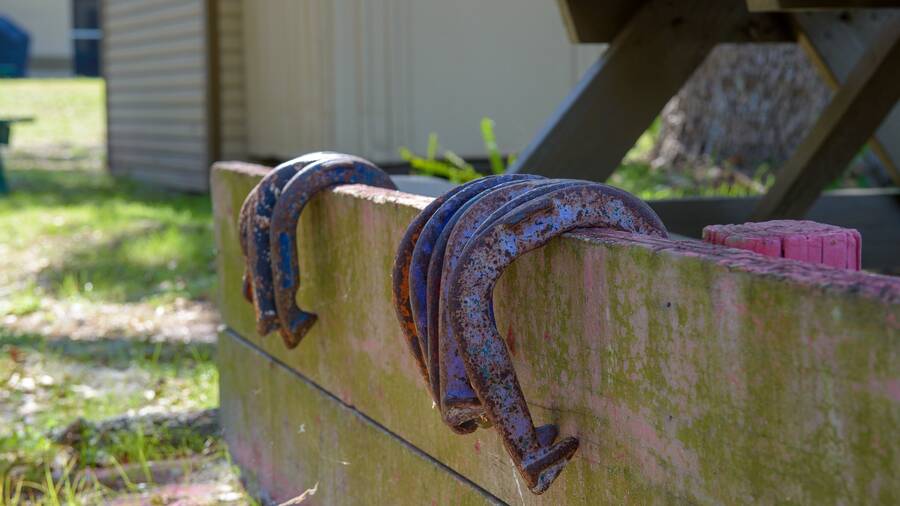 Waters Edge 39146 Otis Allen Road, Zephyrhills, FL 33540