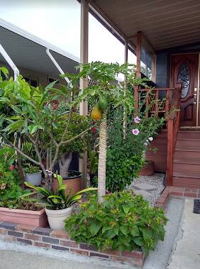 community home thumb