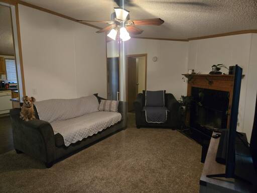 mobile home thumb