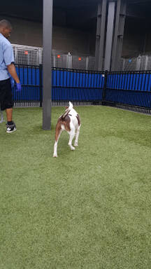 community home thumb