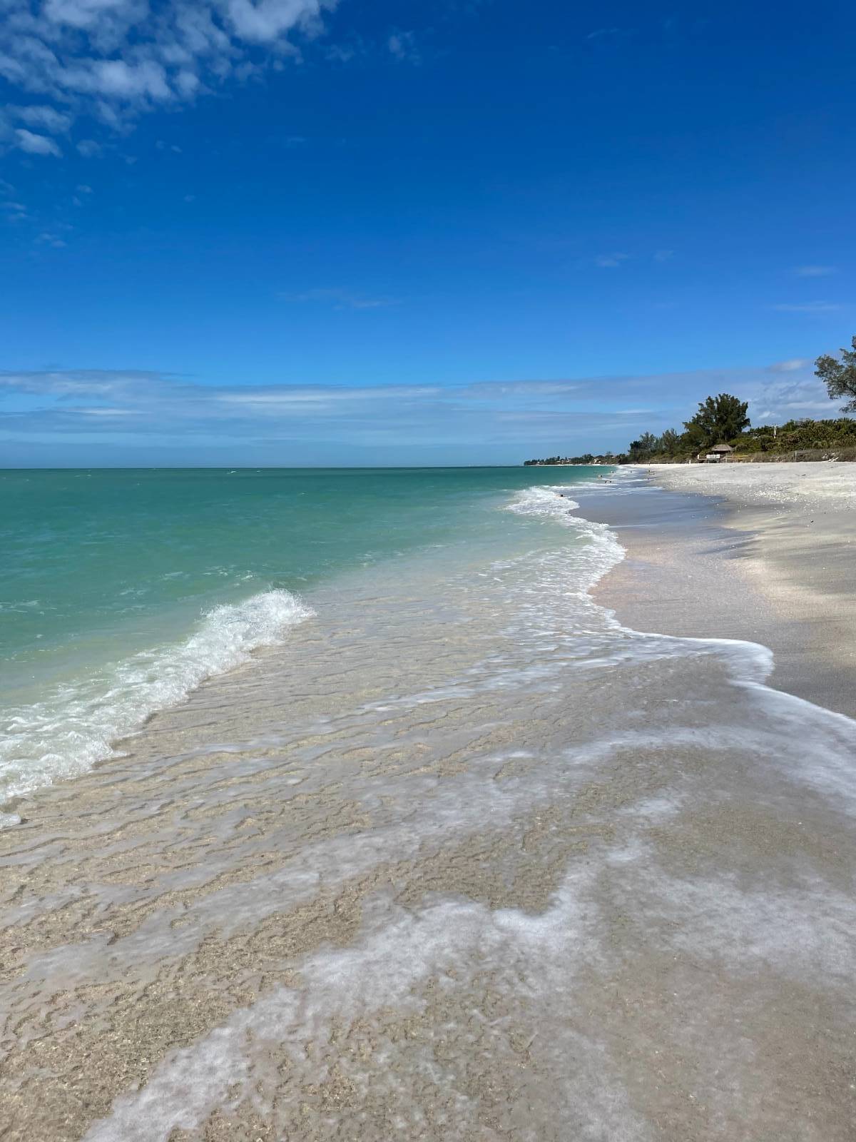 Nokomis, FL