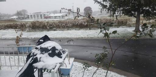 community home thumb